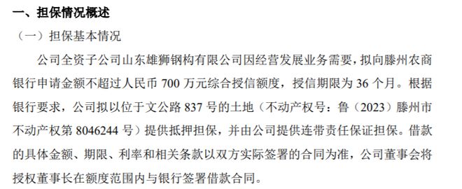 星空体育官网：雄狮装饰全资子公司拟向银行申请金额不超过700万综合授信额度 以不动产提供抵押担保：星空体育平台官网